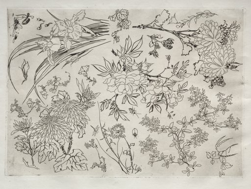Dinner Service (Rousseau service): Flowers (no. 23)