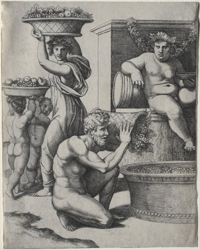 The Wine Press