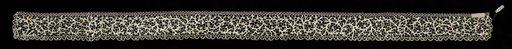 Fragment of Lace Edging