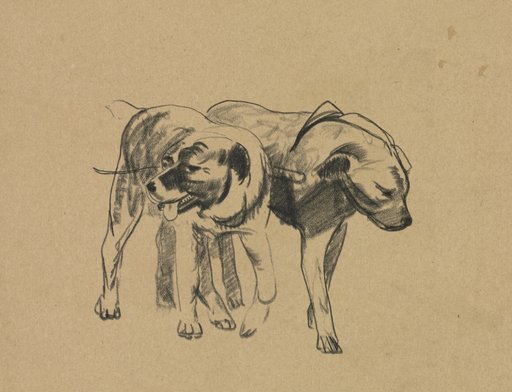 Two Dogs