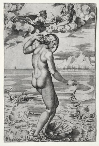 The Birth of Venus