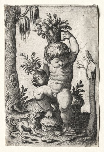 Boy with Fruit Basket