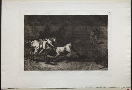 Bullfights: Mariano Ceballos, Alias the Indian, Kills the Bull From his Horse