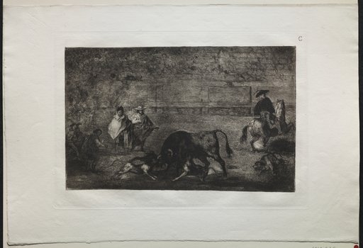 Bullfights: The Dog Let Loose on the Bull