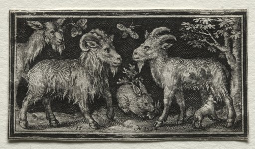 Goats and Hare