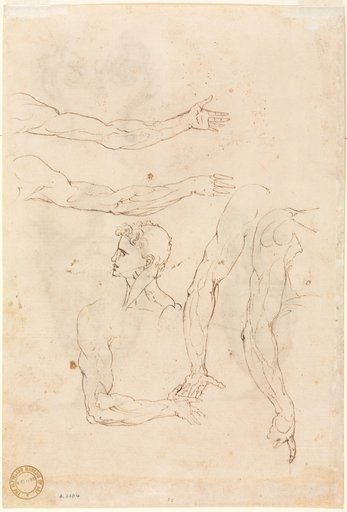 Sketches of Five Arms and a Head (verso)