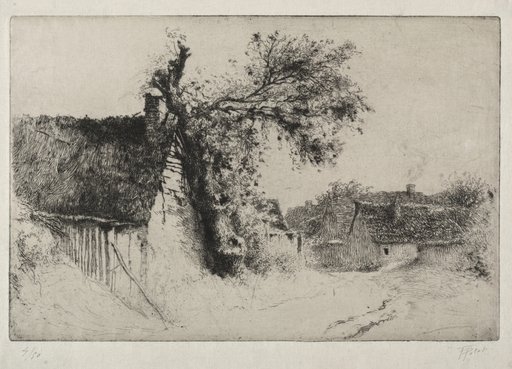 The Old Elm Tree