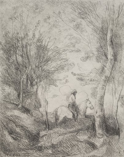 The Great Cavalier in the Wood
