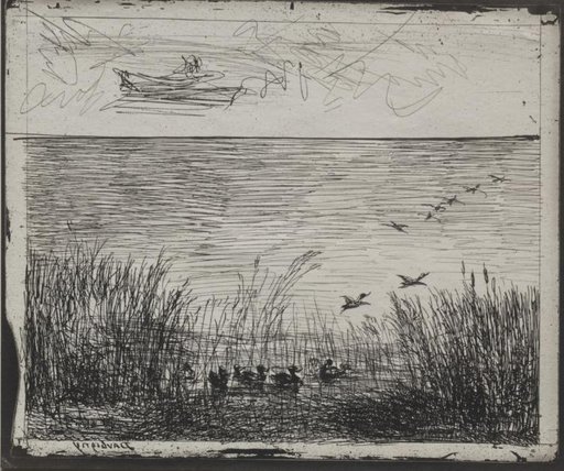 Swamp with Ducks