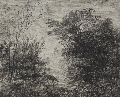 Stags