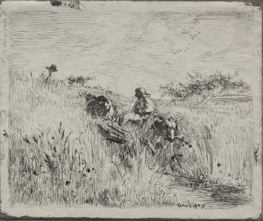 Path Through the Grain Field