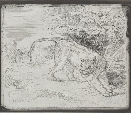 A Trapped Tiger
