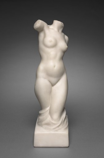 Torso