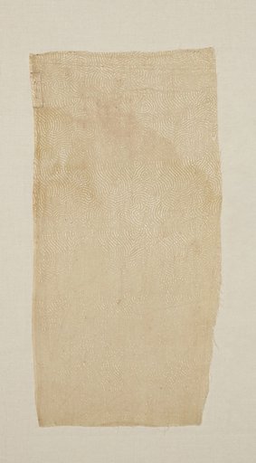 Fragment of Draped Apparel