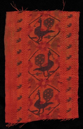 Border with Peacock Design