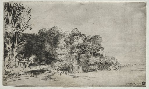 Clump of Trees with a Vista