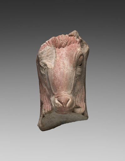 Fragment of a Goat's Head