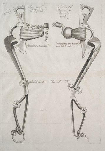 Diagram for Horse's Bit
