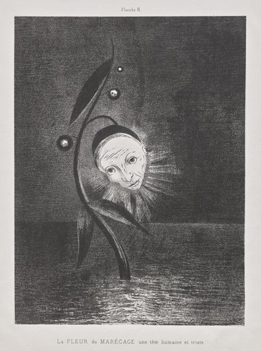 The Marsh Flower, a Sad Human Head