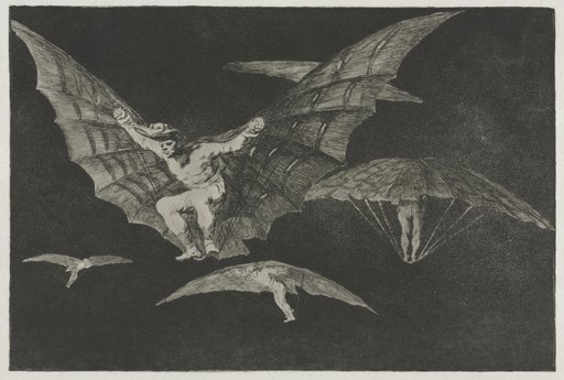 The Proverbs: A Way of Flying