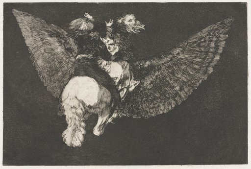 The Proverbs: Flying Folly
