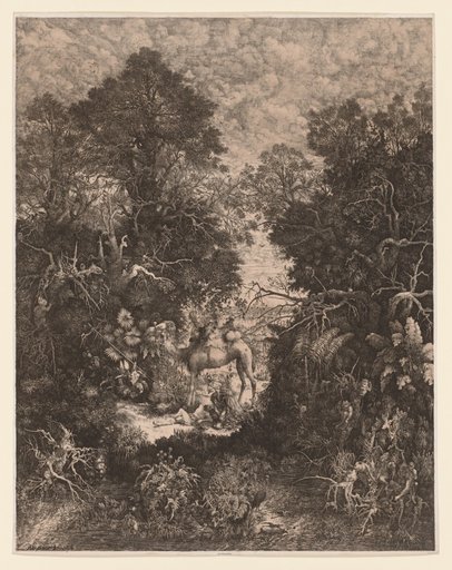 The Good Samaritan