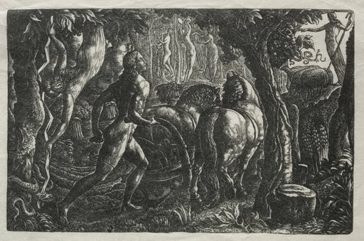 The Ploughman