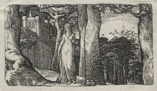 The Lady and the Rooks