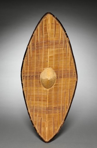 Shield