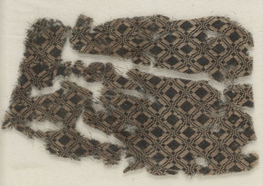 Silk Fragment