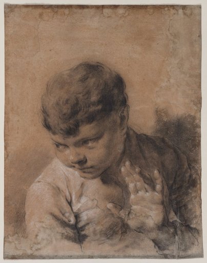 A Portrait of the Artist's Son Giacomo
