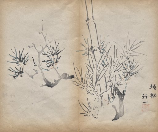 Bamboo