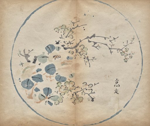 Blossoms