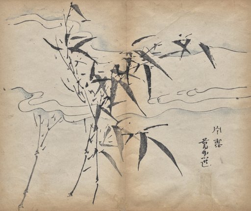 Bamboo