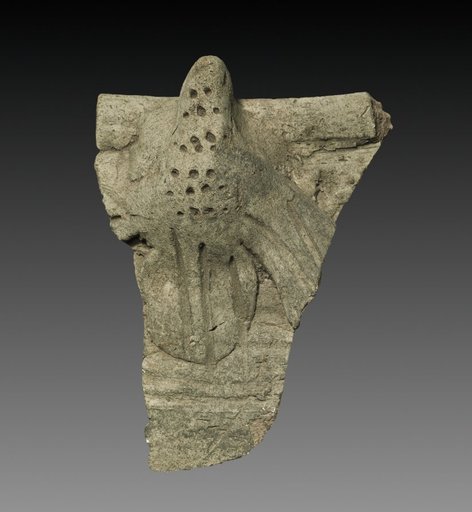 Rim Fragment