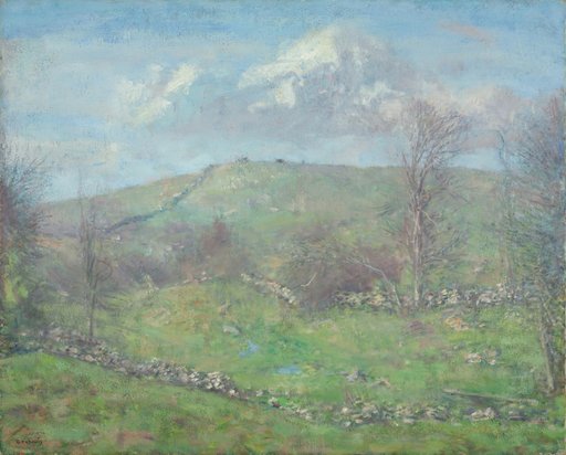 Spring on the Hillside