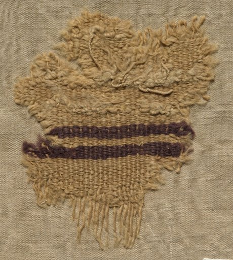 Wool Fragment