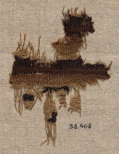Wool Fragment