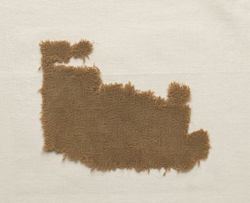 Wool Fragment