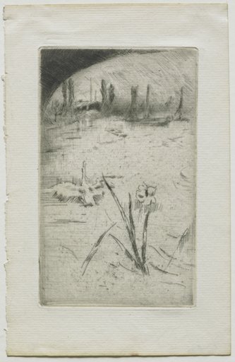 Swan and Iris