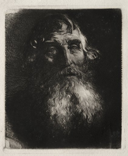 Study of an Old Man's Head