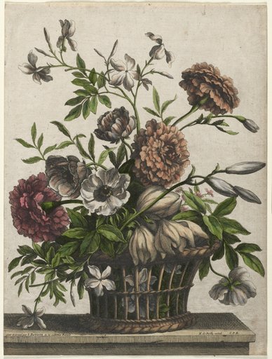 Marigolds, single Anemone, Jasmine...