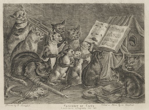 Concert of Cats