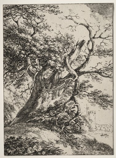 Specimens of Polyautography: Landscape with an Oak Tree