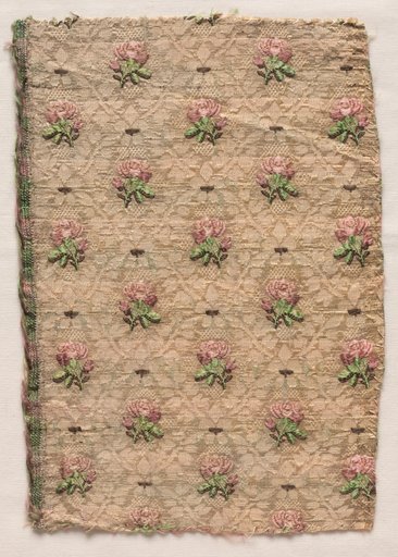 Textile Fragment
