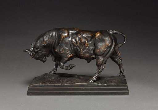 Bull