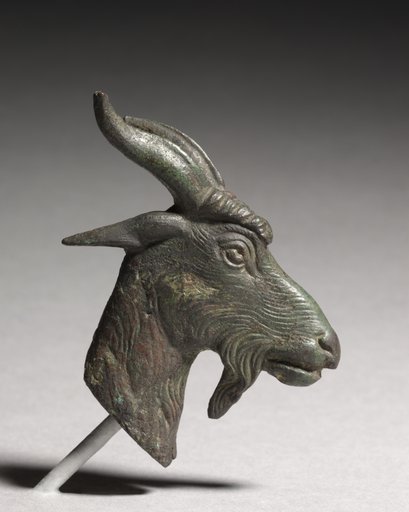 Head of a Goat