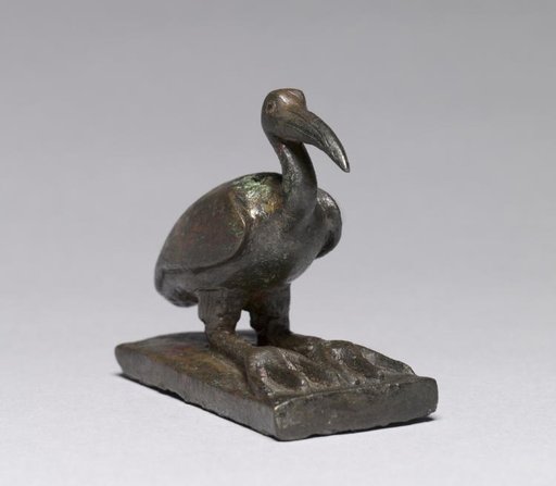Ibis
