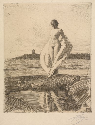 The Swan