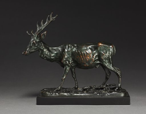 Deer